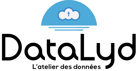 Dessiner : logo pour l'entreprise Datalyd