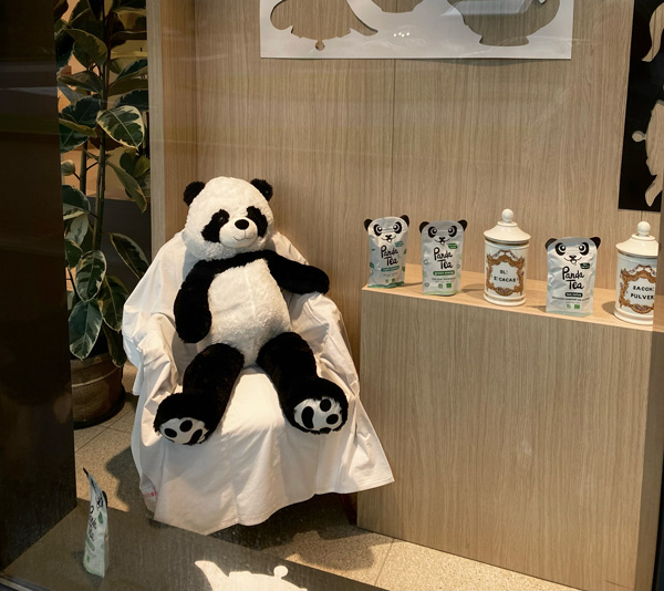 L'Antidote - Vitrine avec Panda - étalagisme